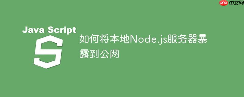 如何将本地Node.js服务器暴露到公网-小浪学习网