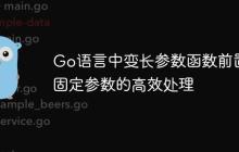 Go语言中变长参数函数前置固定参数的高效处理
