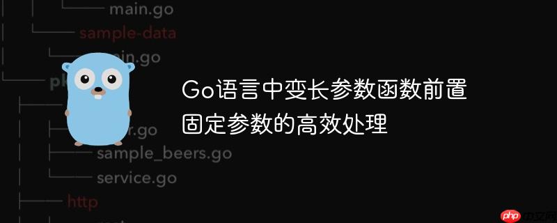 Go语言中变长参数函数前置固定参数的高效处理-小浪学习网