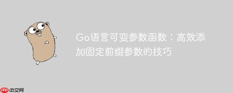 Go语言可变参数函数：高效添加固定前缀参数的技巧
