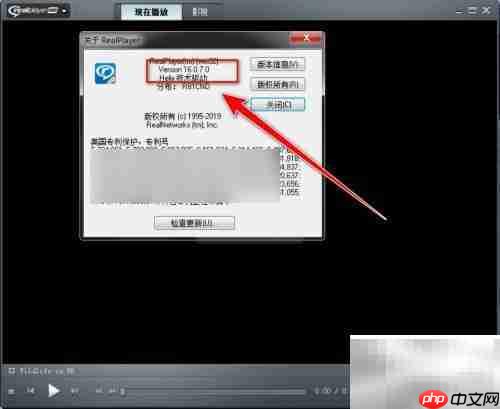 RealPlayer查看版本方法