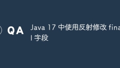 Modify final fields using reflection in Java 17