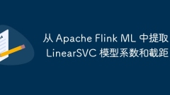 Extract LinearSVC model coefficients and intercepts from Apache Flink ML