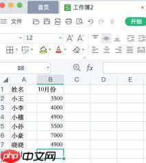 WPS如何进行求和操作