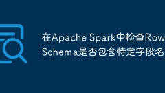 Check if Row Schema contains specific field names in Apache Spark
