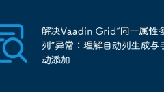 Solve the 'Multiple Columns of Same Attribute' exception in Vaadin Grid: Understand automatic column generation and manual addition