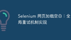 Selenium web page loading blank: global retry mechanism implementation
