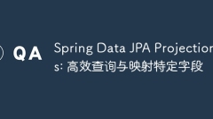 Spring Data JPA Projections: Efficient query and mapping specific fields