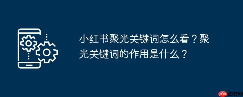 小红书聚光关键词怎么看？聚光关键词的作用是什么？