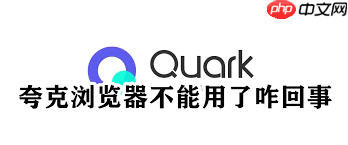 夸克网页打不开如何解决
