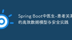 Doctor-Efficient Data Model and Safety Practice of Patient Relationship in Spring Boot