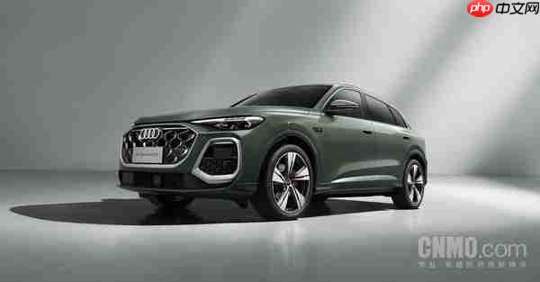 上半年大众全球各国BEV销量解析 德国成最大单一市场