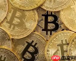 国内最好的数字货币平台有哪些排名