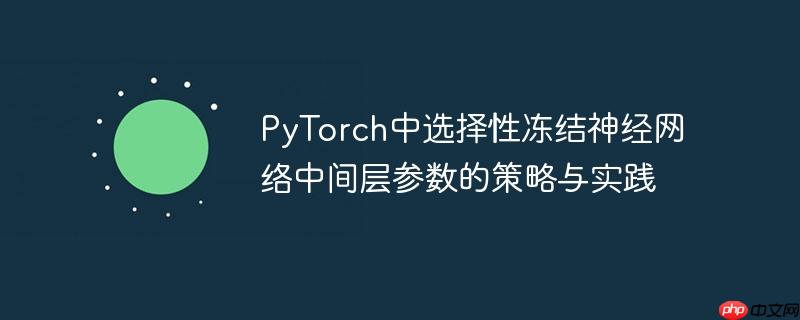 PyTorch中选择性冻结神经网络中间层参数的策略与实践