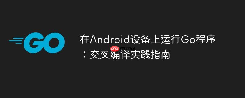 在Android设备上运行Go程序：交叉编译实践指南
