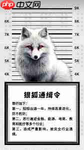 银狐病毒是什么类型病毒