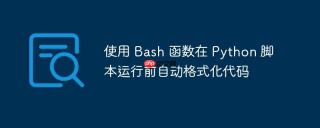 使用 bash 函数在 python 脚本运行前自动格式化代码