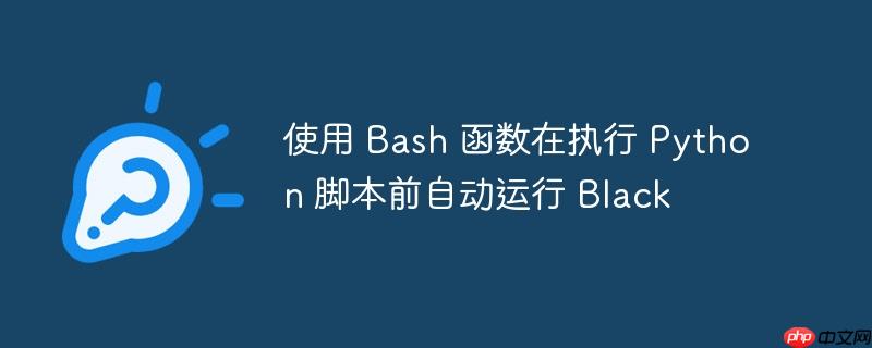 使用 bash 函数在执行 python 脚本前自动运行 black