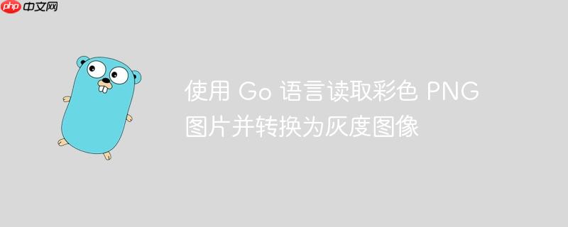 使用 Go 语言读取彩色 PNG 图片并转换为灰度图像-小浪学习网