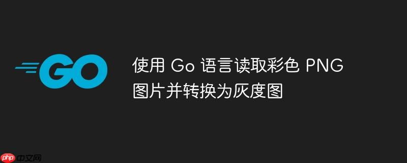 使用 Go 语言读取彩色 PNG 图片并转换为灰度图-小浪学习网