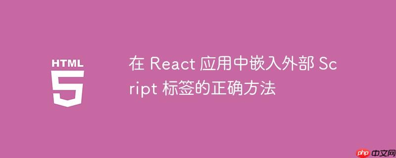 在 react 应用中嵌入外部 script 标签的正确方法