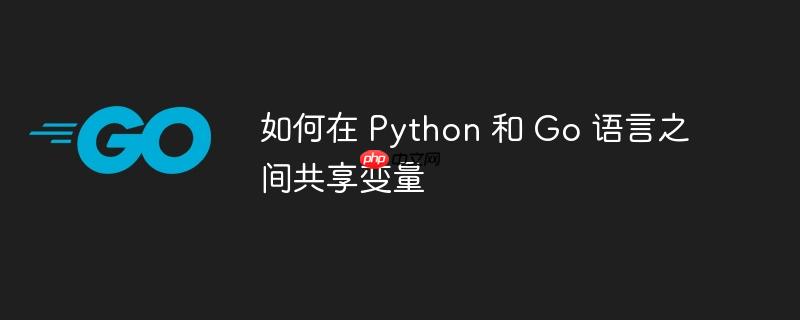 如何在 Python 和 Go 语言之间共享变量