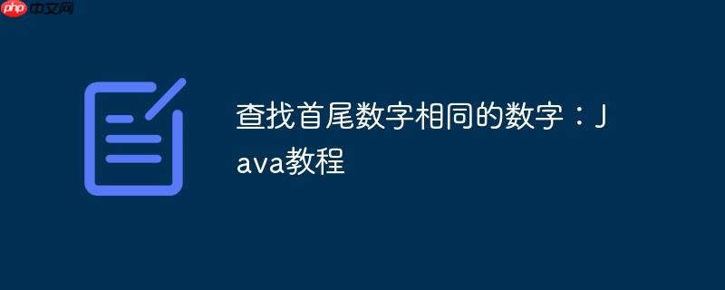 java查找重复数字 java查找相同字符串