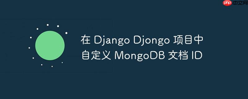 在 django djongo 项目中自定义 mongodb 文档 id