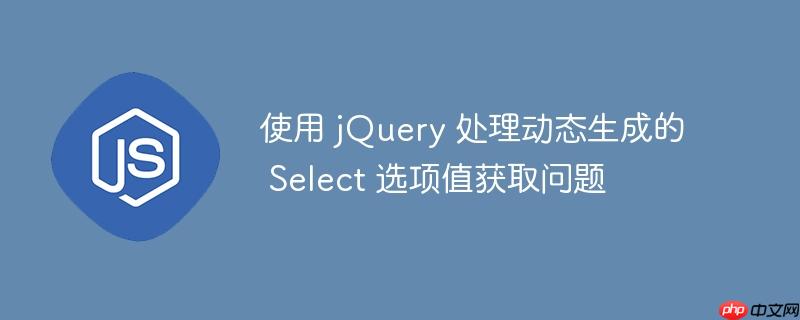 使用 jQuery 处理动态生成的 Select 选项值获取问题-小浪学习网