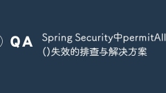 Troubleshooting and Solutions for PermitAll() failure in Spring Security