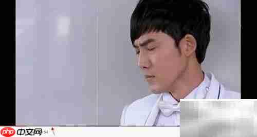 网页视频下载方法