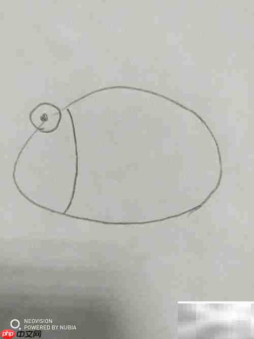 大眼睛小鱼简笔画教程