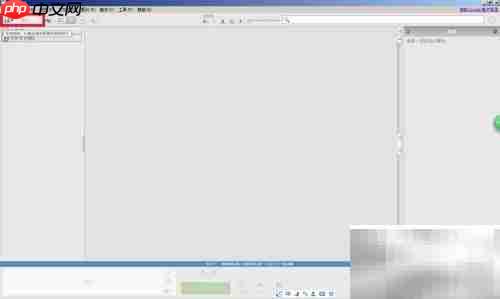 Picasa扫描打印机文档指南