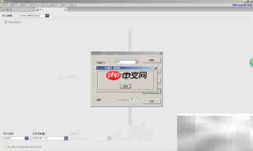 Picasa扫描打印机文档指南