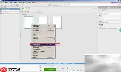 Picasa扫描打印机文档指南