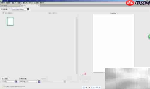 Picasa扫描打印机文档指南