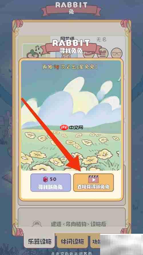 兔兔音乐会钢琴家安排