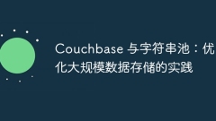 Couchbase and string pool: Practice for optimizing large-scale data storage