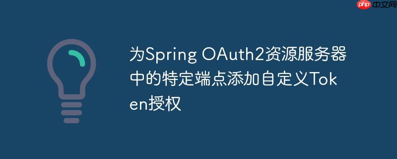 为Spring OAuth2资源服务器中的特定端点添加自定义Token授权