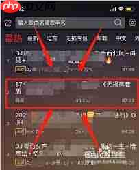 如何下载DJ多多音乐