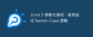 JUnit 5 Parameterized Test: Efficient Verification of Switch-Case Logic