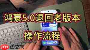 华为鸿蒙5.0如何退回原系统