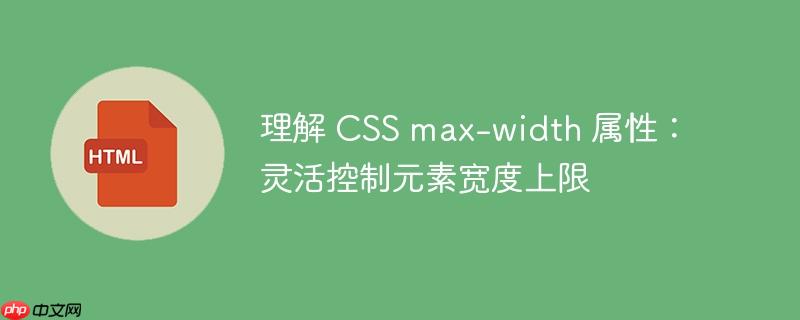 理解 CSS max-width 属性：灵活控制元素宽度上限-小浪学习网