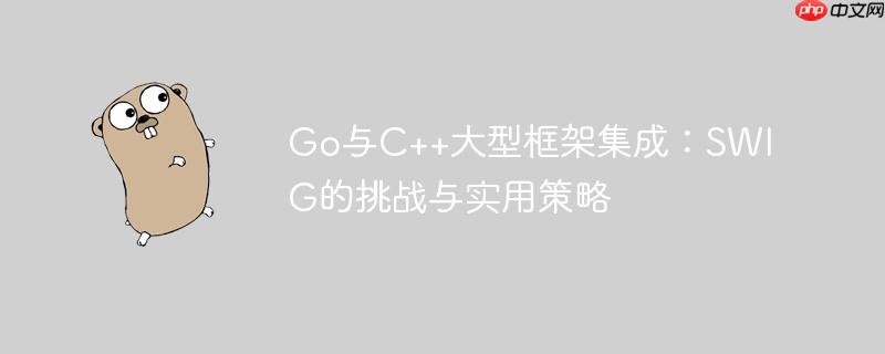 Go与C++大型框架集成：SWIG的挑战与实用策略-小浪学习网