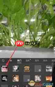 小米手机突然无法上网怎么办
