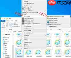 DW6如何设置代码字体大小