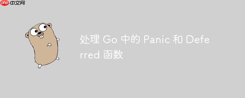 处理 go 中的 panic 和 deferred 函数