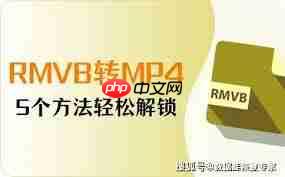 如何将RM转换成MP4格式