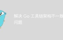 解决 Go 工具链架构不一致问题