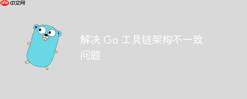 解决 Go 工具链架构不一致问题-小浪学习网